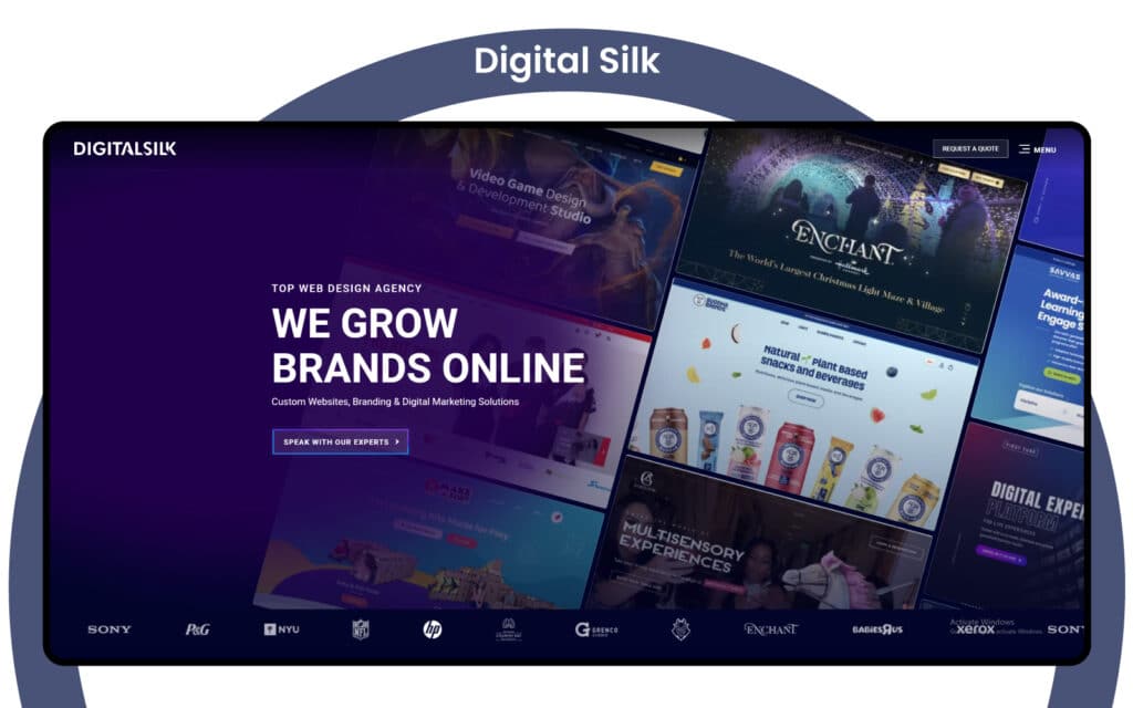 Digital Silk: Full-Service Web Design Agency